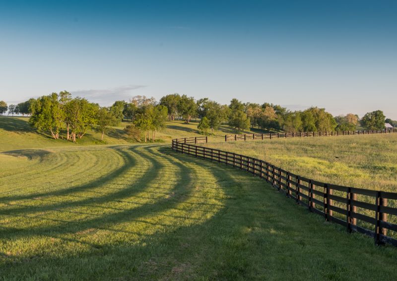 Pasture Fence Installation