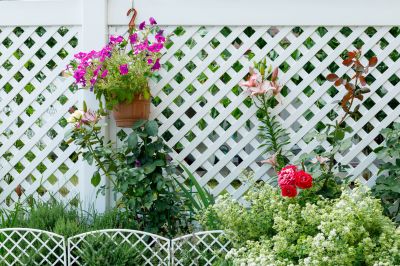 Solid Vinyl Fence Installation